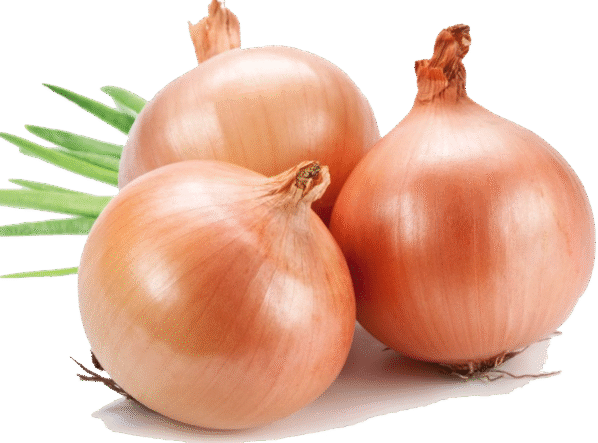 Onion 2.5 kg