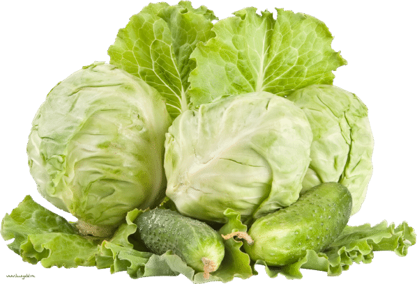 Cabbage 1 kg