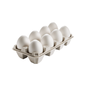 Eggs Jumbo Size Half Dozen (6 Eggs)