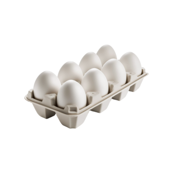 Eggs Jumbo Size Half Dozen (6 Eggs)