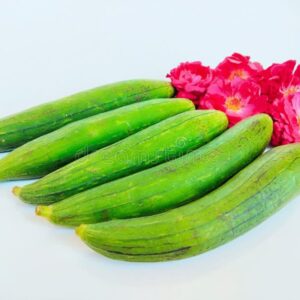 انگریزی توری Sponge gouard (500g)