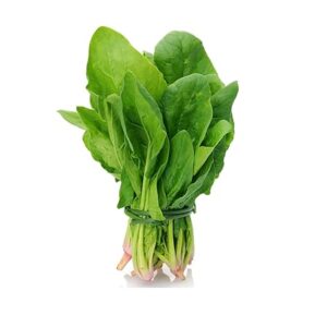 Palak (Angrezi)