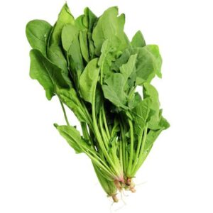 سندھی پالک Spinach (Sindhi Palak) 1KG