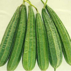 توري سنڌي Ridge Gourd (Sindhi Toori) (500G)