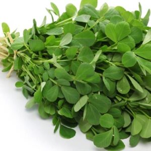 میتھی Fenugreek