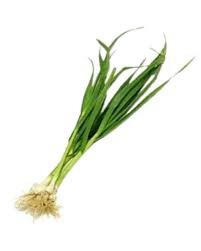 ھری لھسن Green garlic (1بنڈل)