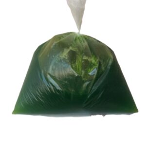 open dish wash liquid (1kg)